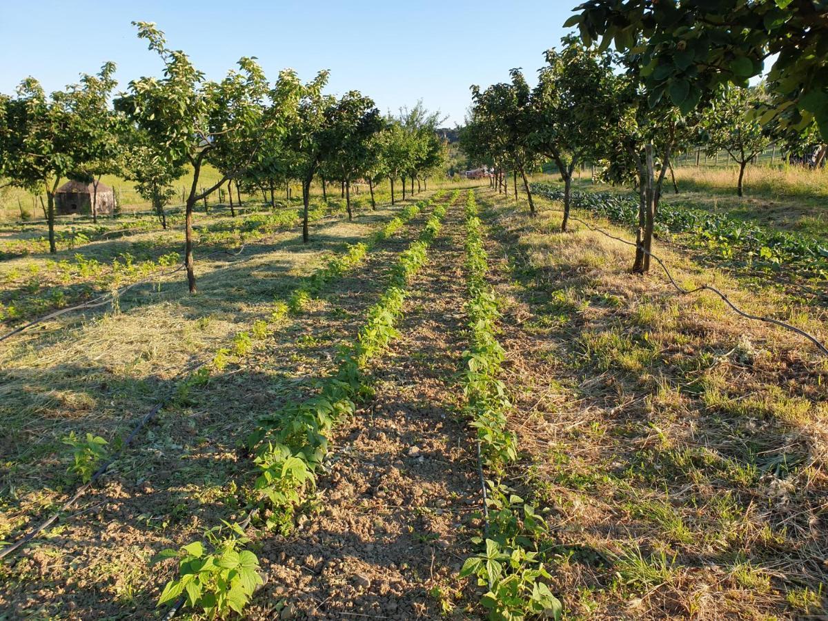 Fattoria Di Maiano Country house
