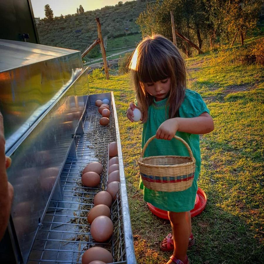 Country house Fattoria Di Maiano *