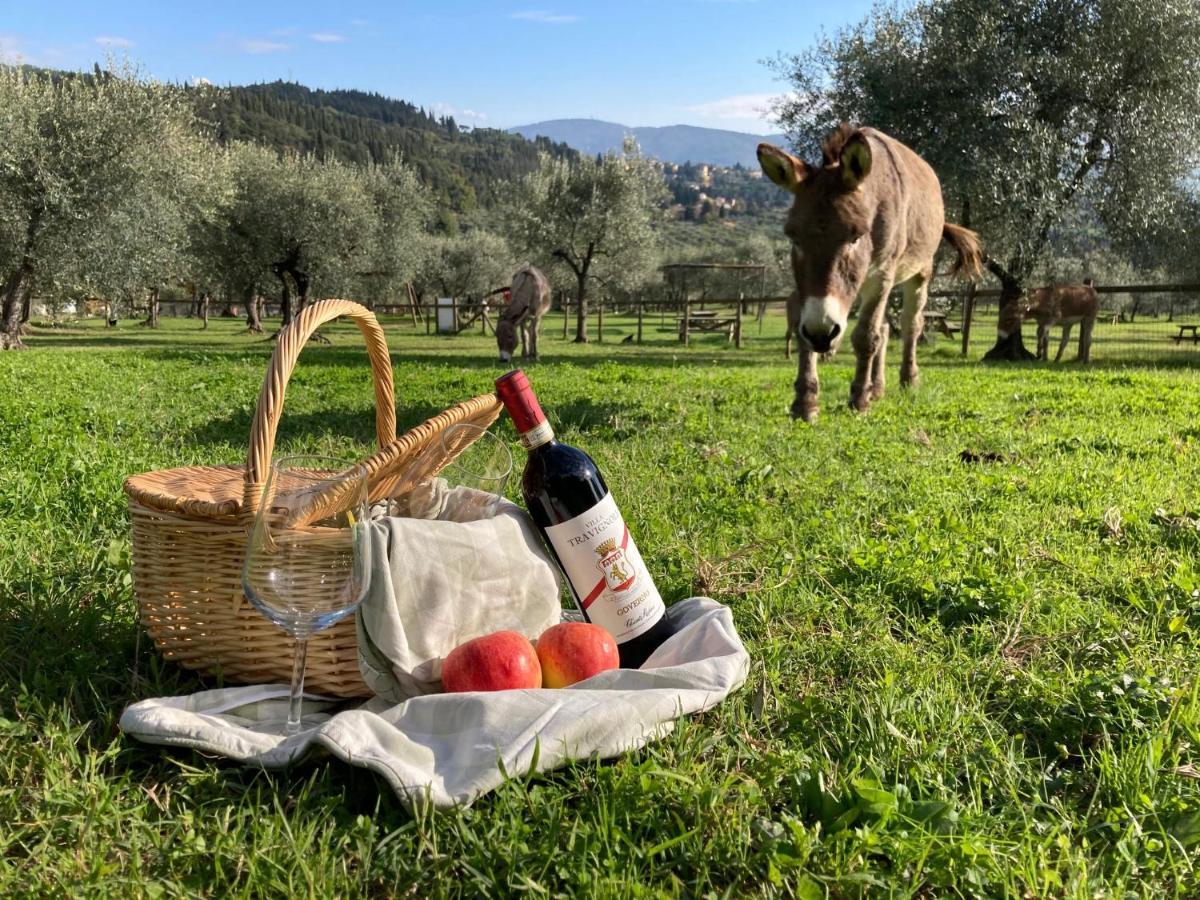 Fattoria Di Maiano Country house