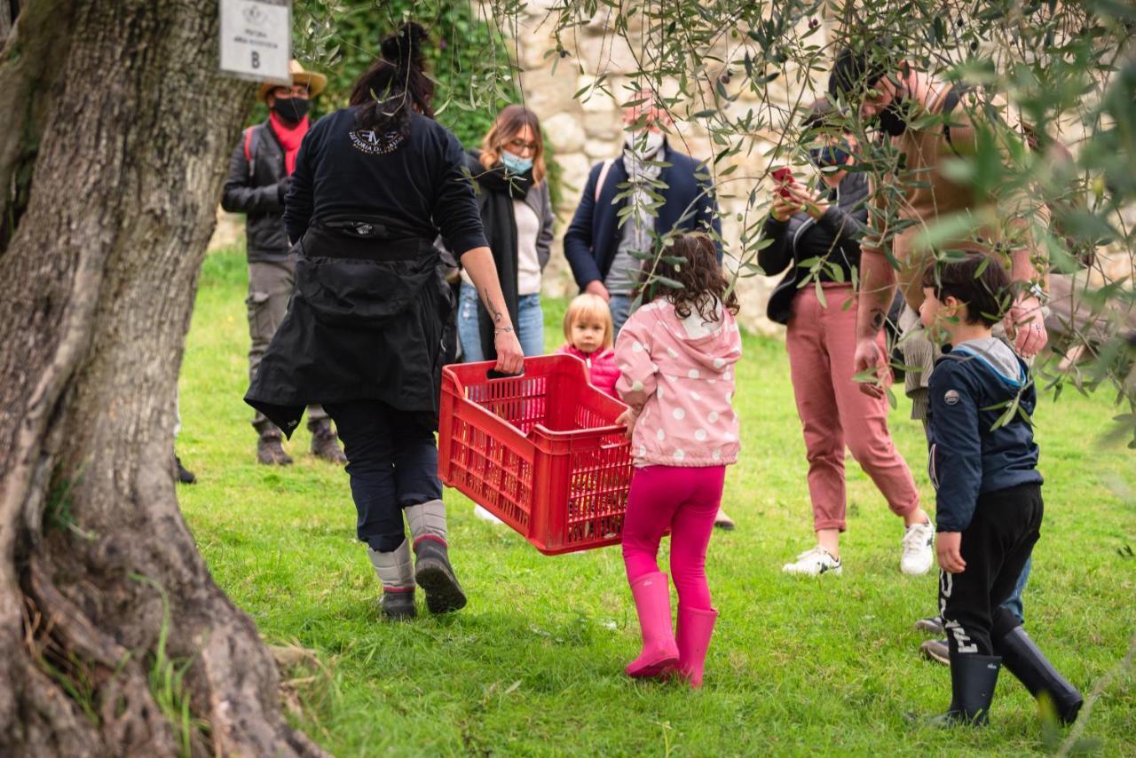 Fattoria Di Maiano * Fiesole