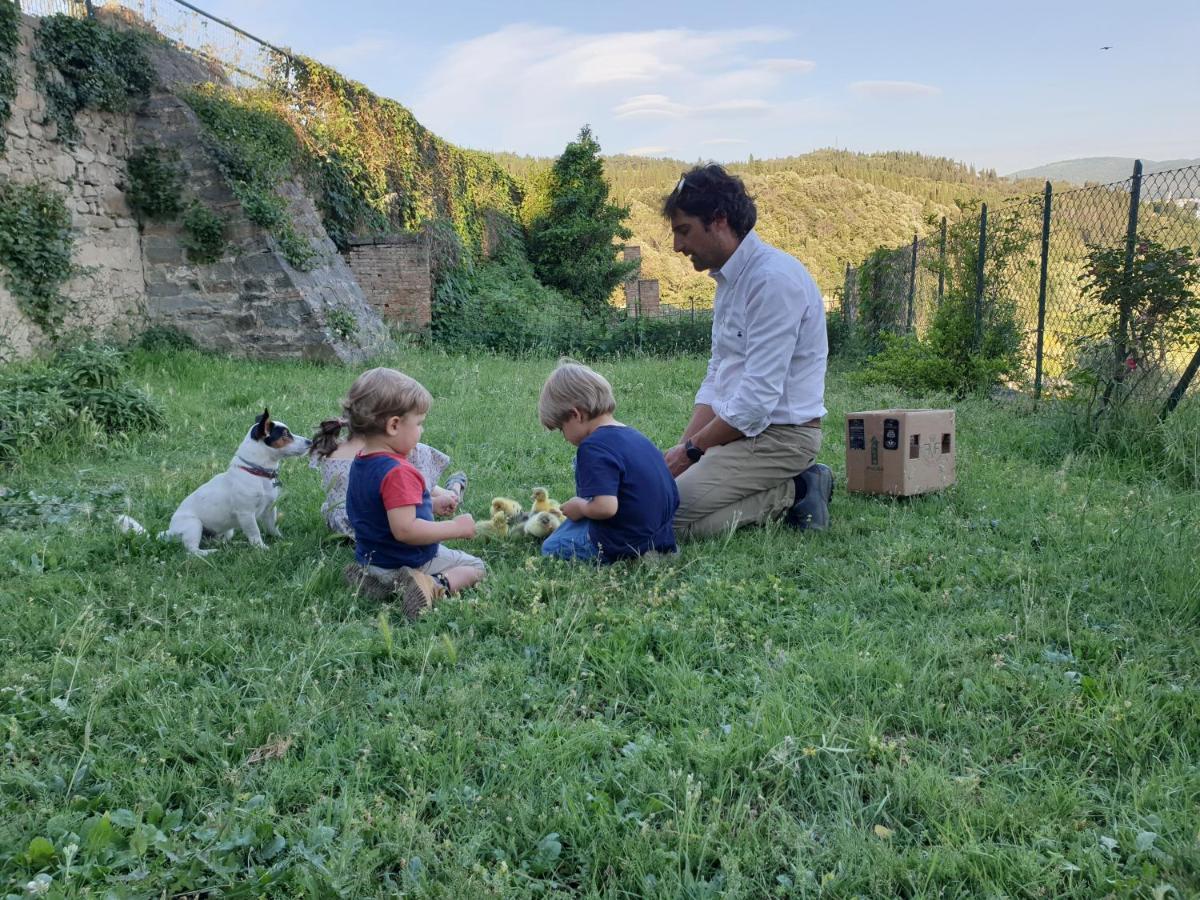Country house Fattoria Di Maiano