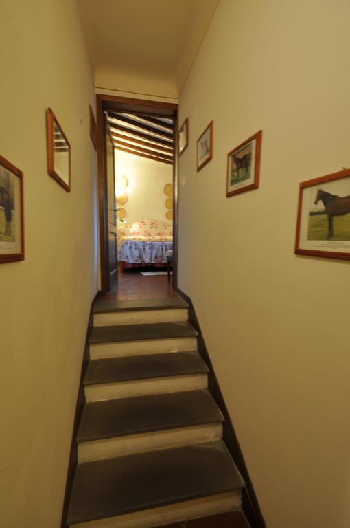 Fattoria Di Maiano *