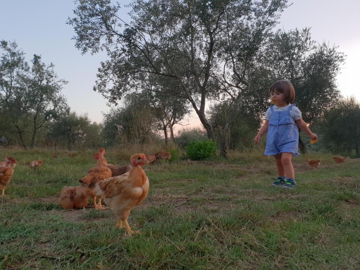 Fattoria Di Maiano Country house *